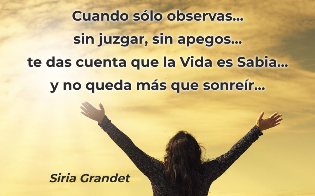 Cuando solo observas…