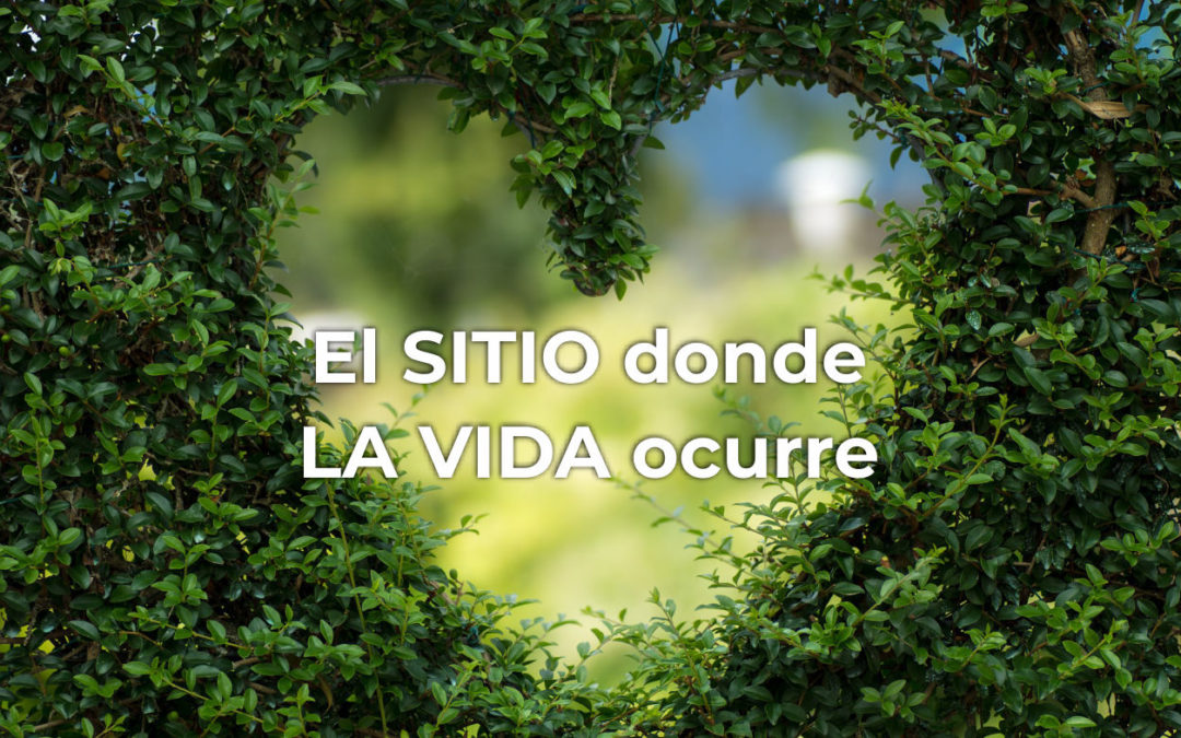 El sitio donde…