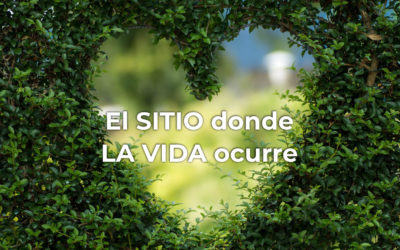 El sitio donde…