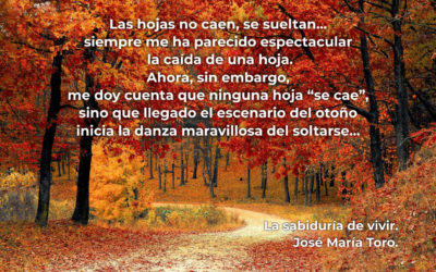 Las hojas no caen, se sueltan…