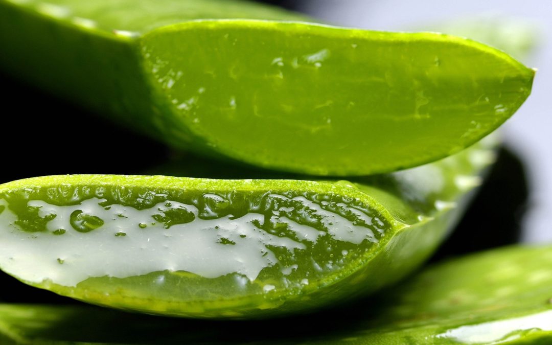 La homeopatía una opción frente el abuso de los antibióticos