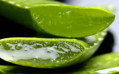La homeopatía una opción frente el abuso de los antibióticos