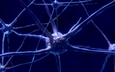 Origen de las enfermedades de neurodegenerativas
