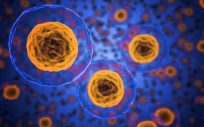 La clave del inicio de un cáncer