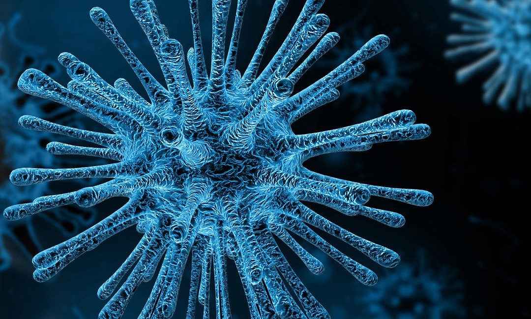 La pandemia del Coronavirus sin alarmismo