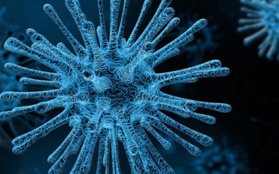 La pandemia del Coronavirus sin alarmismo