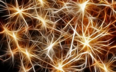 La música ilumina nuestro cerebro