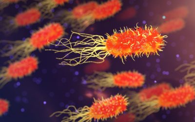 Los virus y bacterias detectados por sus vibraciones