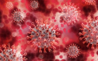 Microbiota intestinal y su nexo con COVID-19
