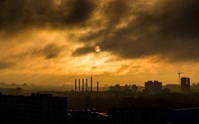 ¿Cómo afecta la contaminación a nuestros huesos?