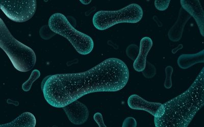 La microbioma intestinal identifica el cáncer de recto