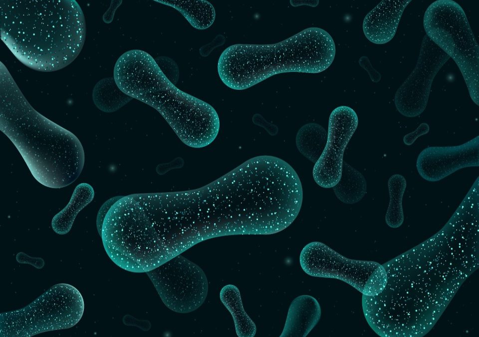 La microbioma intestinal identifica el cáncer de recto