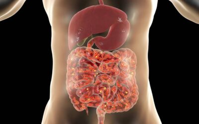 La microbioma puede influir en la gravedad de la Covid-19