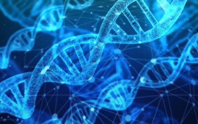 Un estudio nos muestra lo inquieto que es el ADN