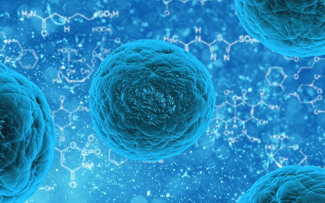 Akkermansia muciniphila la bacteria aprobada como alimento cardiosaludable