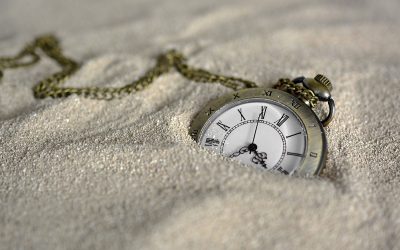 Construye la Vida que Qui-Eres