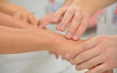 Avances en la regeneración de las extremidades