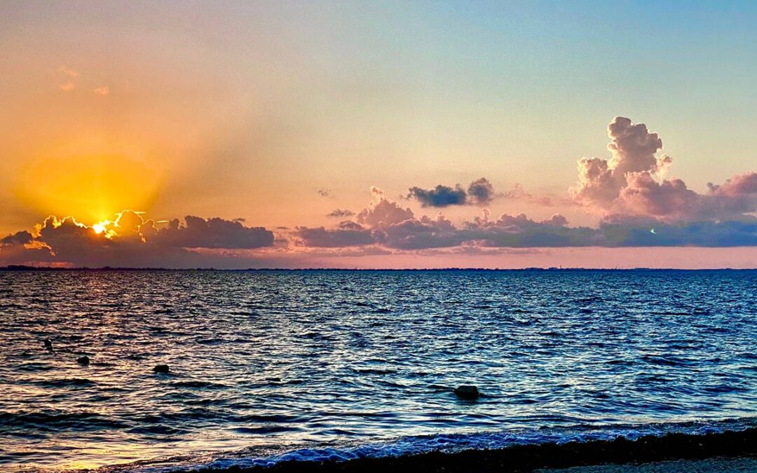 La Belleza, la Felicidad y la Paz