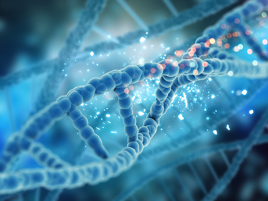 Bacterias pueden aprender a ‘leer’ morse