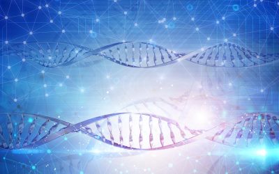 Es posible transferir la memoria de un ser vivo a otro?