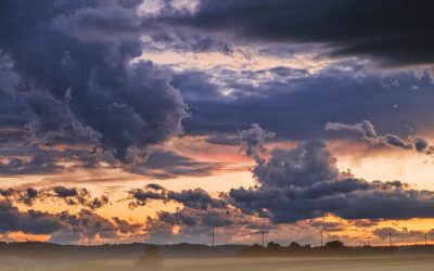 Francesc Miralles, escritor: «Cuando asumes que la tormenta eres tú…»