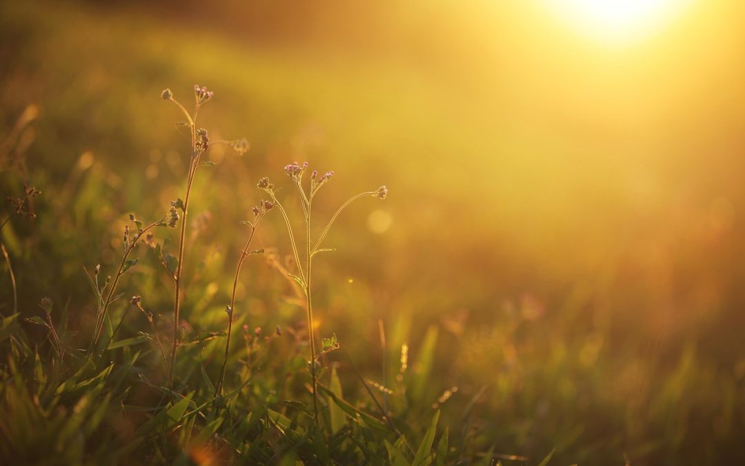 Darse a luz a sí mismo