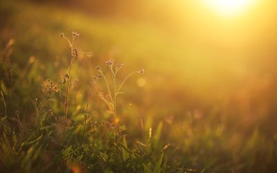 Darse a luz a sí mismo